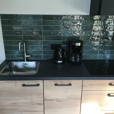 Ferienhaus Woudmeer 1
